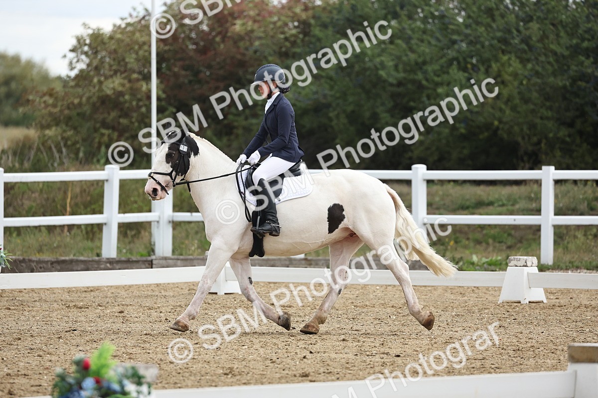 SBM_004213 - Class 8 - Novice 3 Champs