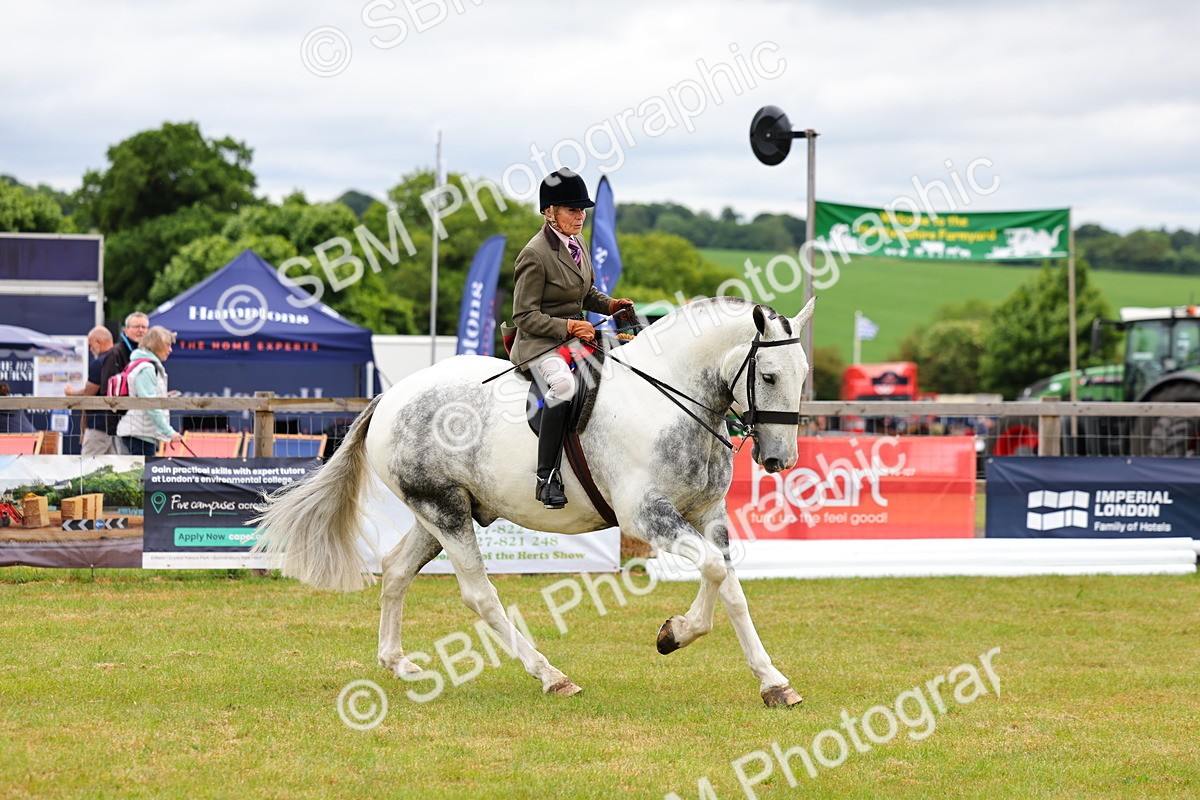 SBM_02669 - Class 9-11 Side Saddle including LIHS Rising Star Ladies Show Horse