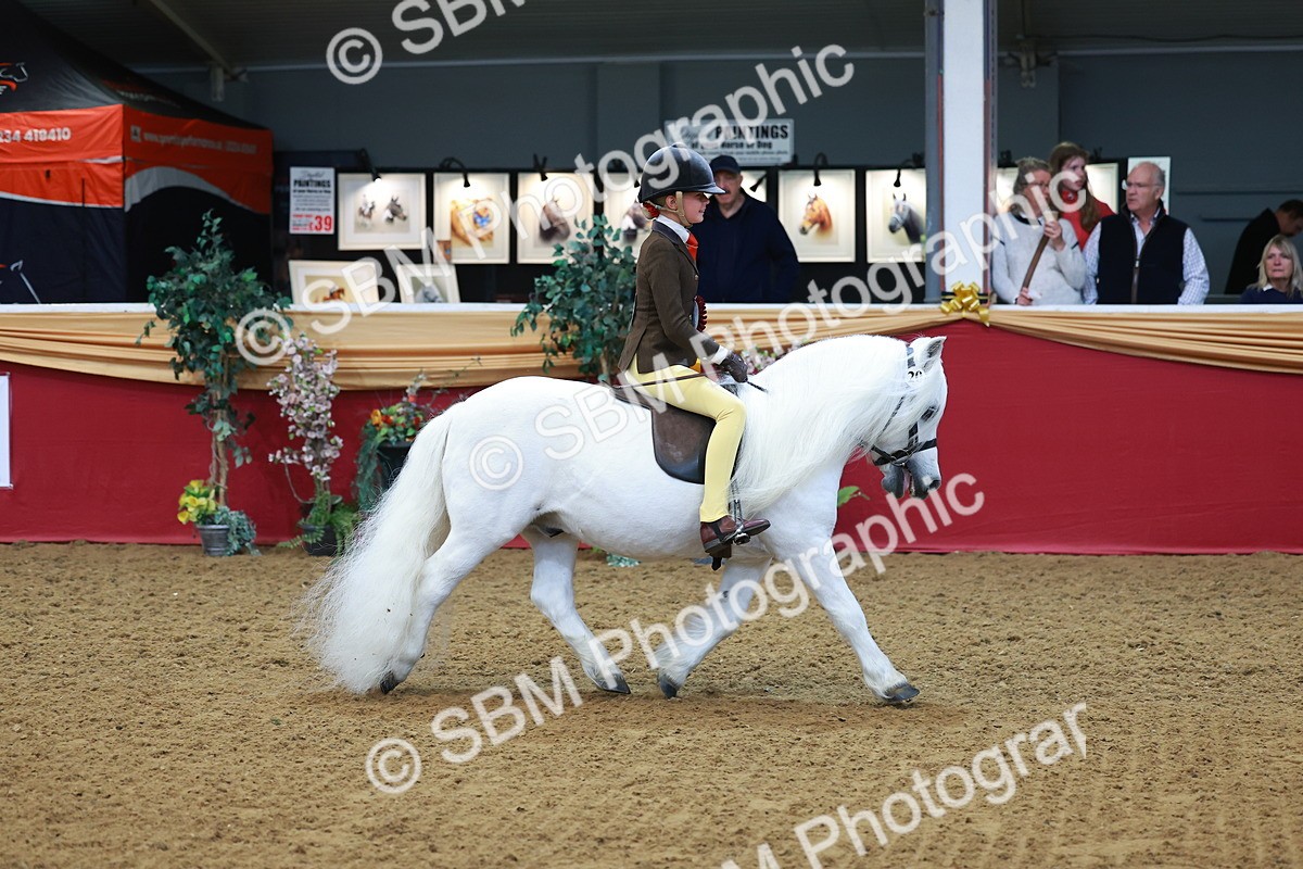 SBM_09889 - Class 102 - HOYS Veteran Qualifier - Ridden Veteran