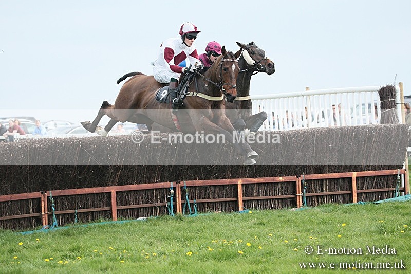PtP 210418 196 - South & West Wilts Point-to-Point Larkhill 21/04/18