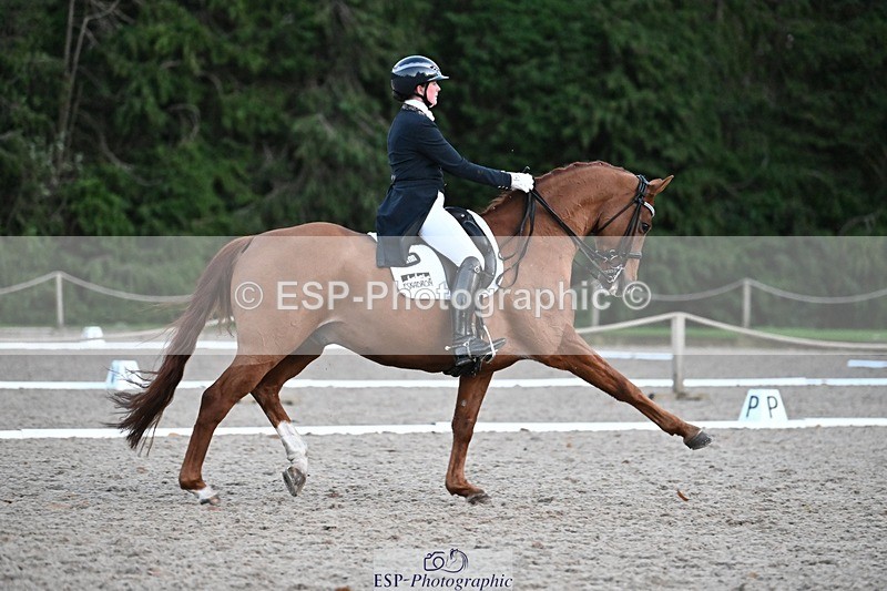 231110-164127-02740 - Cls 14 FEI Grand Prix