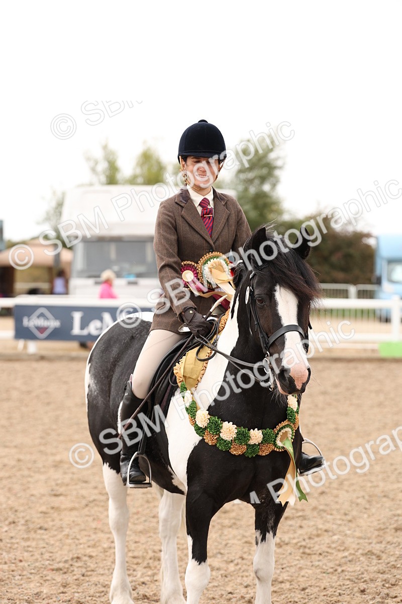 SBM_19734 - Class 216 - Ridden Traditional - Native Cob