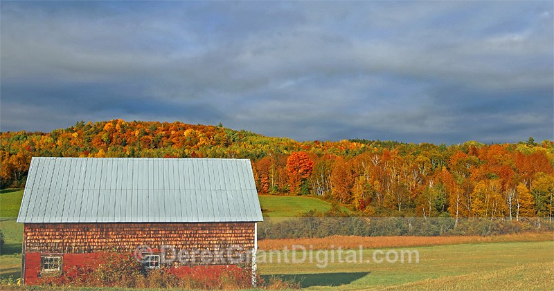 Autumn Barn in Evening Light - New Brunswick Canada Fall Foliage