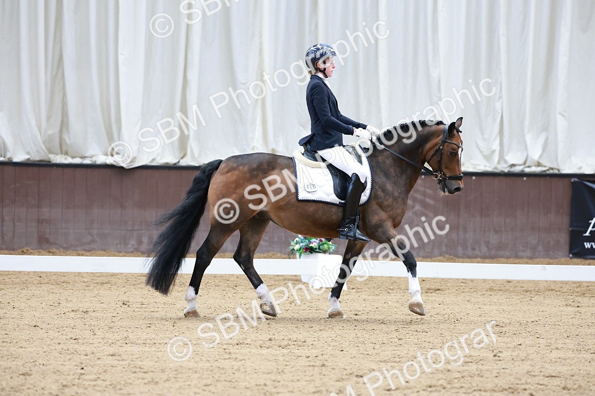 SBM_017135 - Class15 - FEI Pony