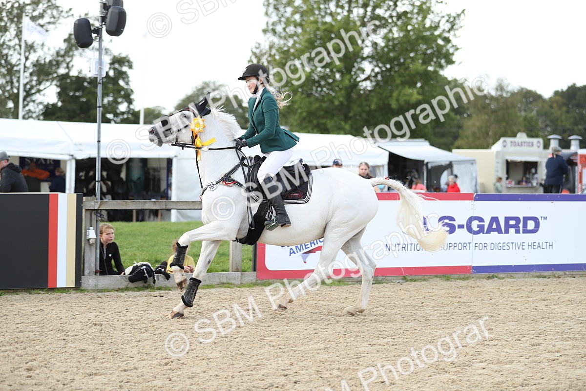 SBM_06590 - J29 - Senior Horse & Pony 65cm Championship