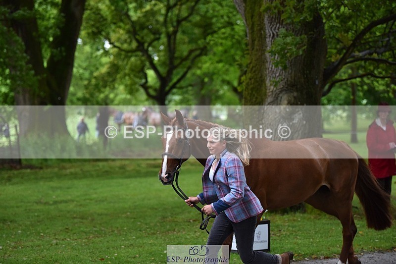 240522-161622-00828 - 166-MEXICAN_LAW-Isabelle_Cook