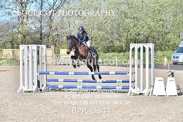 BPP_3644 - CLASS 1 FRI Club/ Unaffiliated 80cms Open