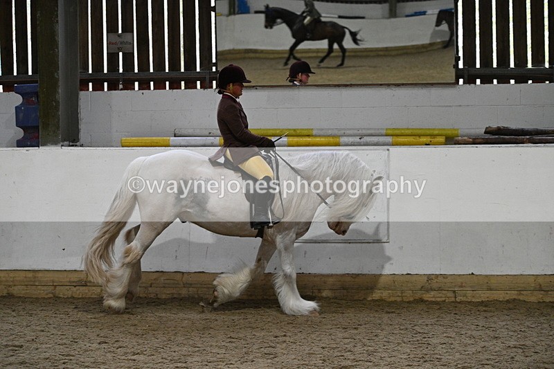 WJ7_3864 - Class 17 Ridden Cob