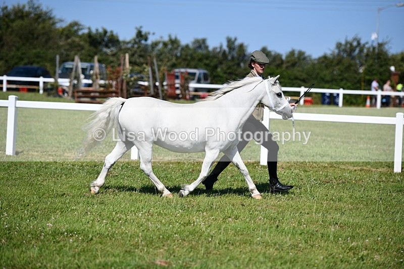 DSC_6443 - Class 53: NPS M&M 4 years and over Small Breeds