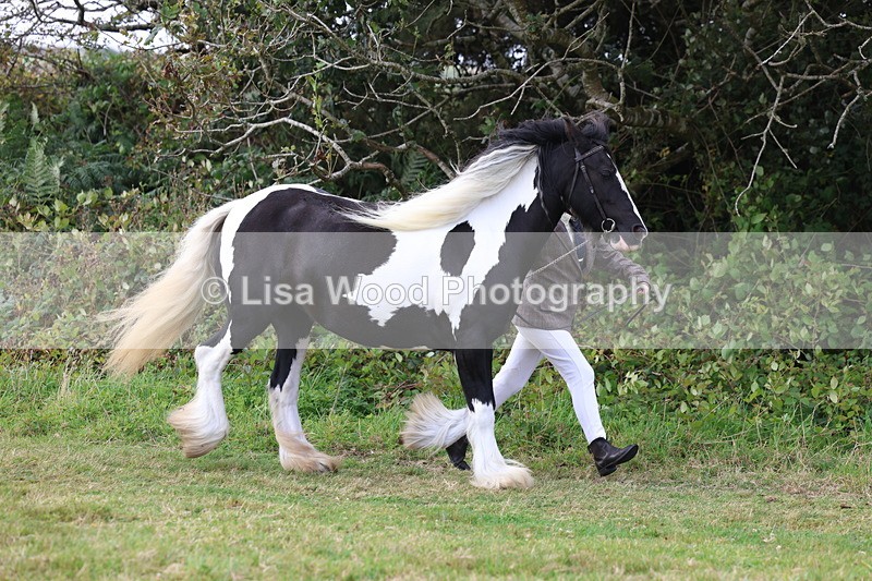 3E7A5346 - Class 19: Best Coloured in Hand