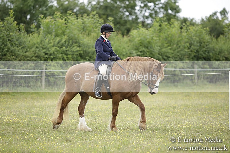 BVR160717-1503 - Ring 1 BVRC Show 16/07/17