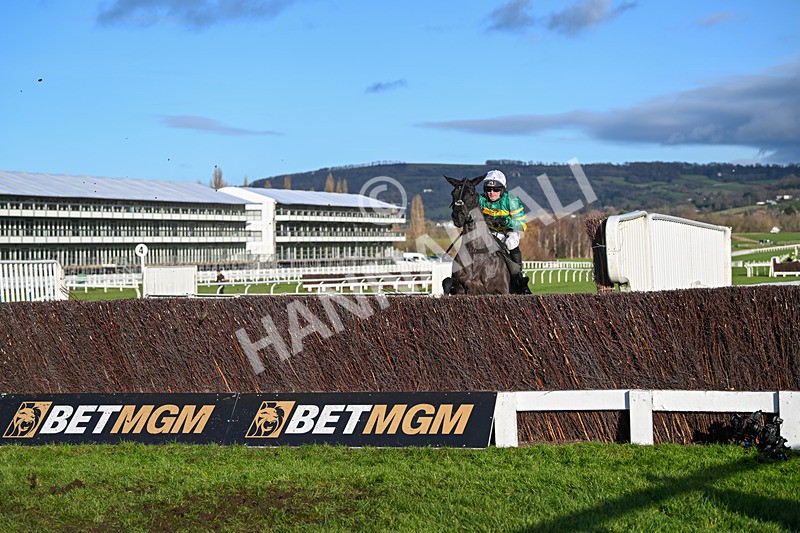 141224-Race 3-Trapista-1729 - Race 3