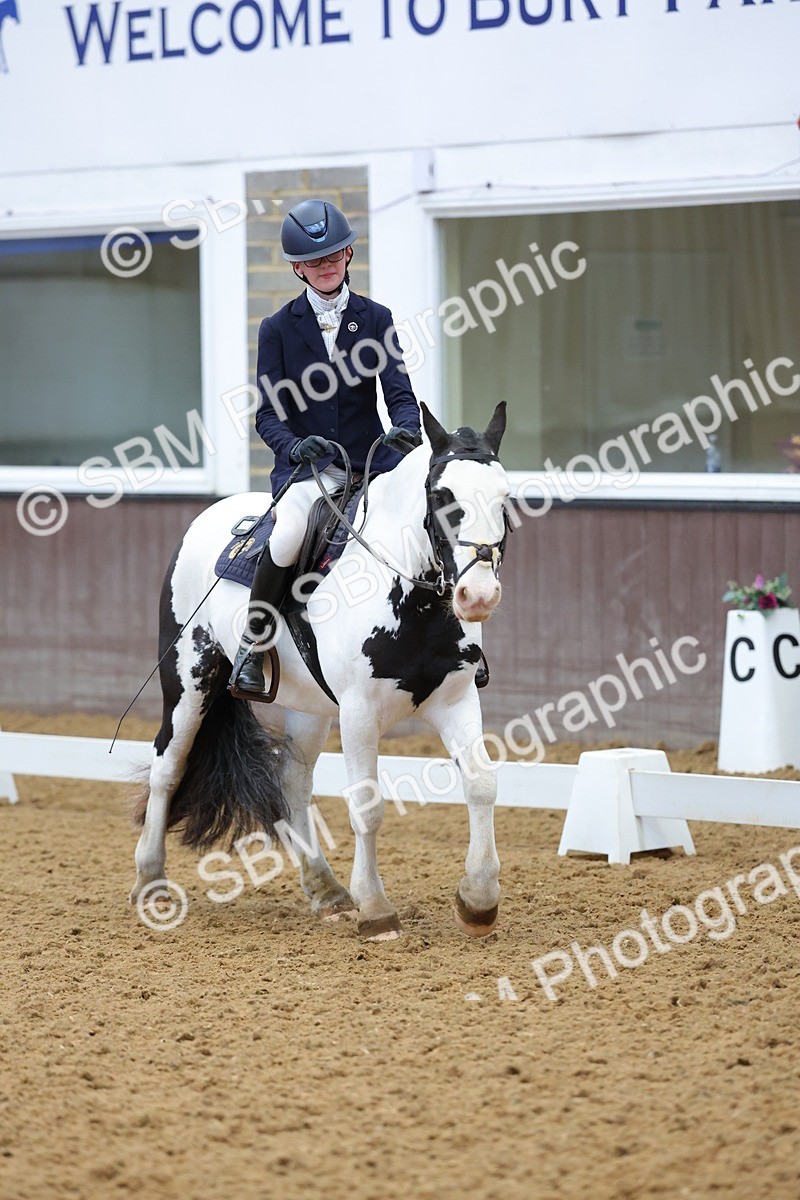 SBM_003095 - Novice