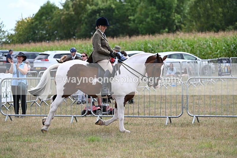 WJ7_5621 - Class 12 Ridden Cob