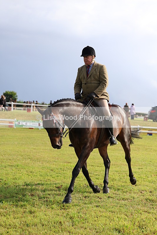 3E7A8192 - Class 2: Rising Star Large Hack/Riding Horse