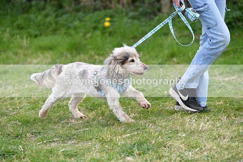 WJ5_0103 - Class 5 Best Veteran / 7 years & over