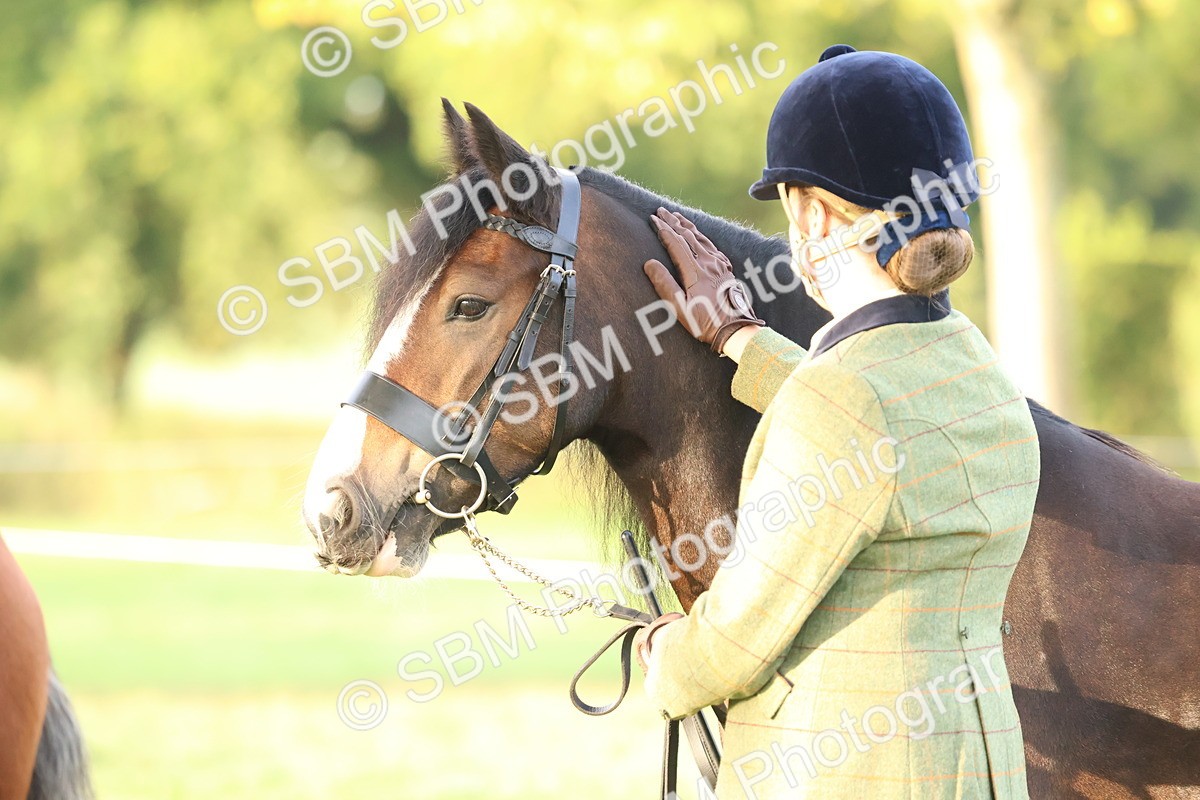 SBM_54551 - S38 - Starters Best Turnout