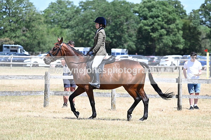 WJ7_2808 - Class 7 Riding Club Show Horse
