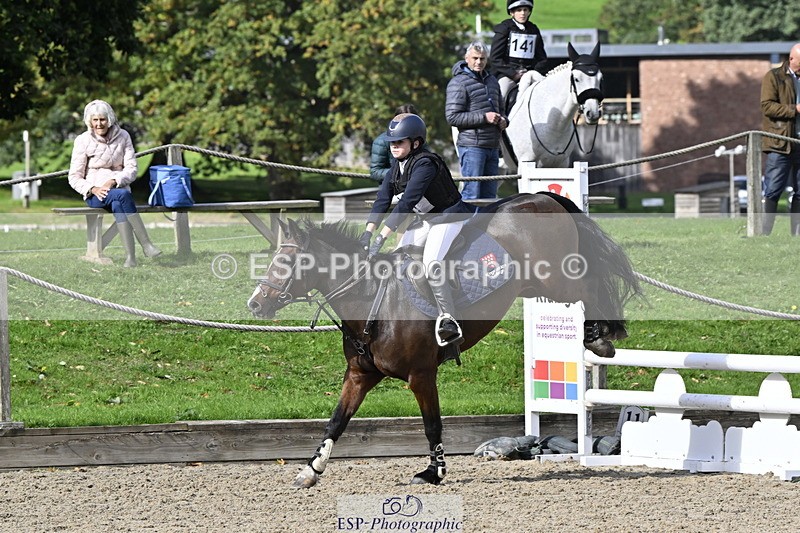 251005A-123937-03870 - Cls 08 Mini 70-75cm