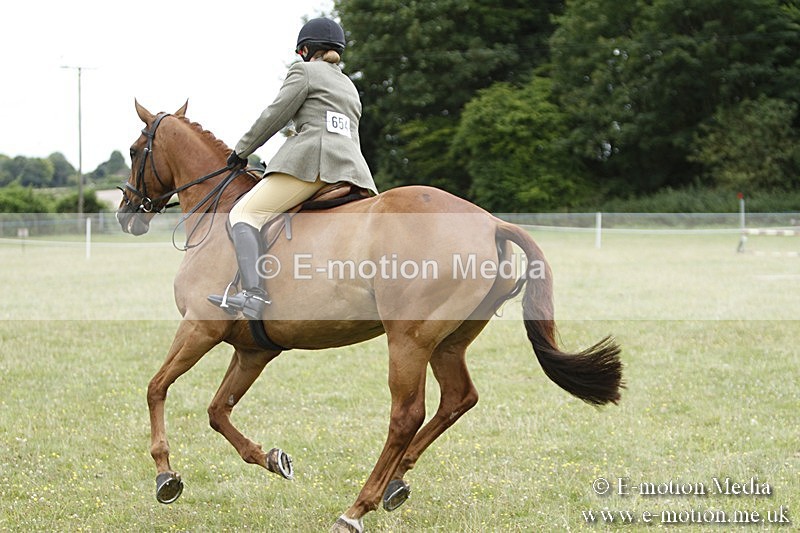 BVR160717-2201 - Ring 3 BVRC Show 16/07/17