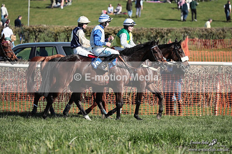 PtP 210326 431 - VWH Cirencester Races 21/03/26