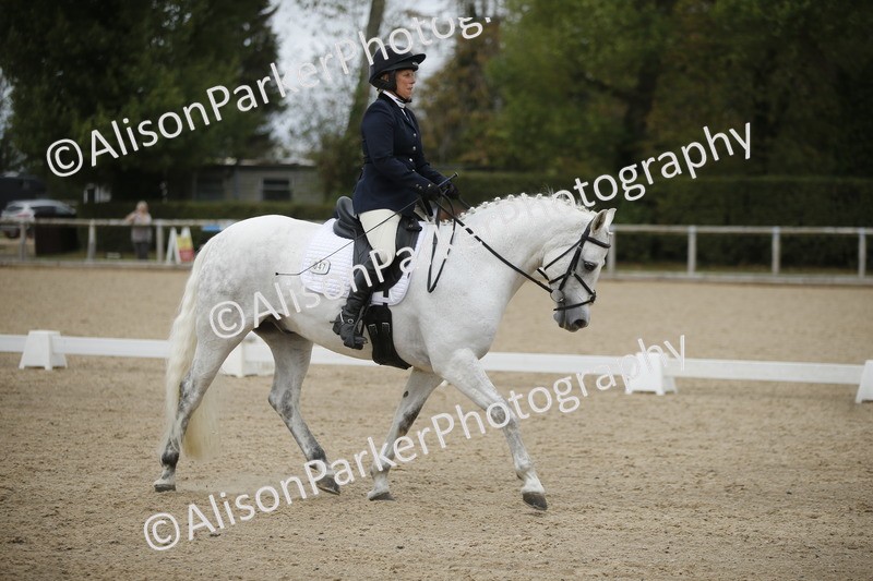 20260913-0262 - Class 3 - Novice 5