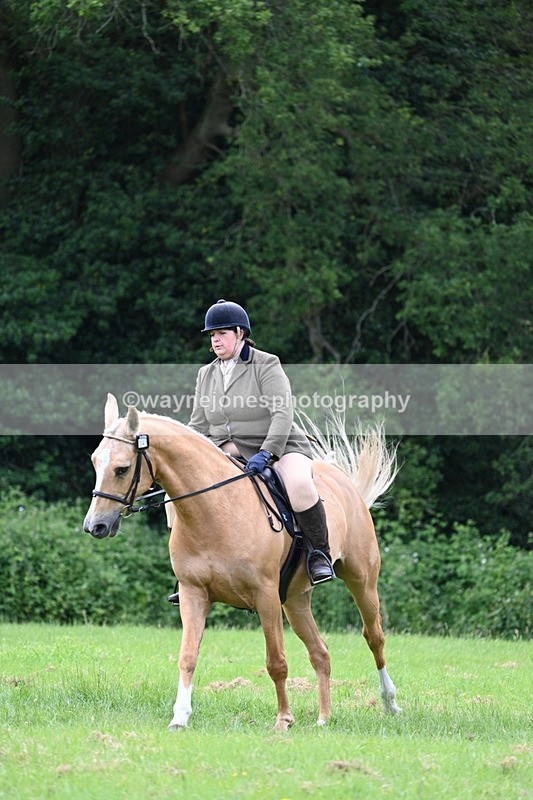 WJ7_2486 - Class 12A Coloured Class