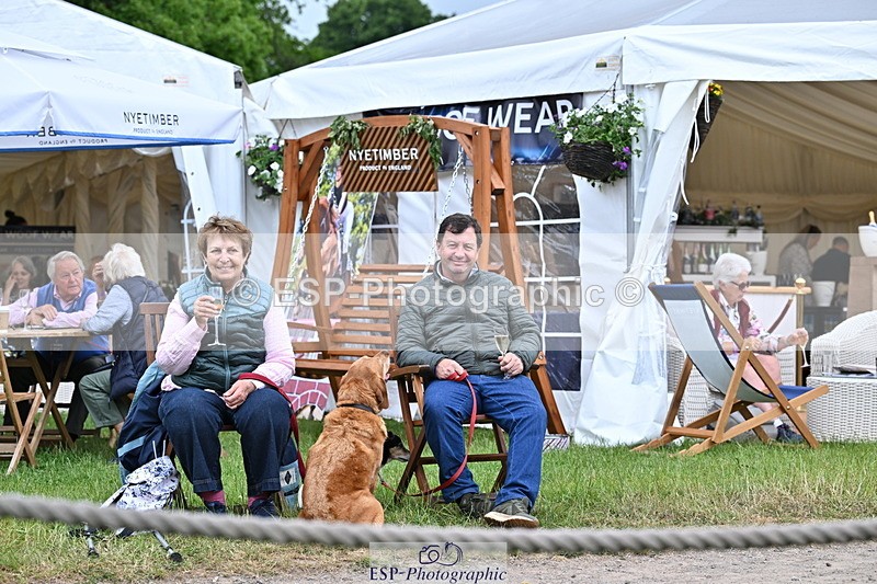 250524A-124233-11022 - Western Counties Crowds