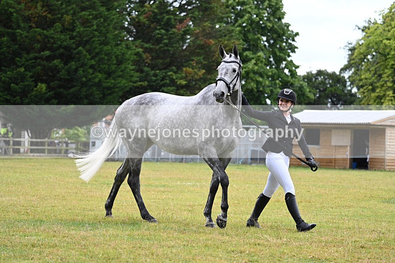 WJ7_6006 - Class 4a Prettiest Mare over 14hh