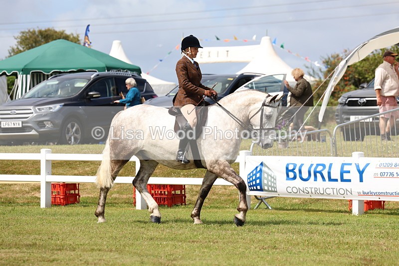 3E7A0163 - Class 6: Rising Star Maxi Cobs