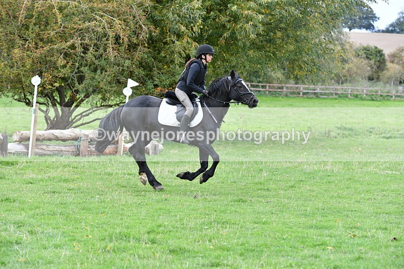 WJ5_0271 - Time 13:25 to 13:58