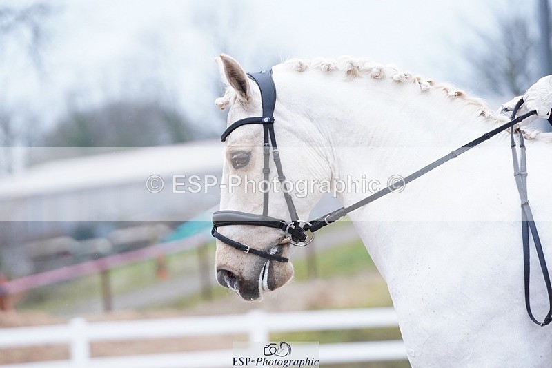 250214-115534-00478 - 197-Louisa.Julie.Brend-Cynheidrefawr.gerwyn