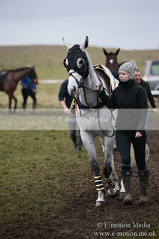 PtP 180218 689 - Combined Services Point-to-Point Larkhill 18/02/18