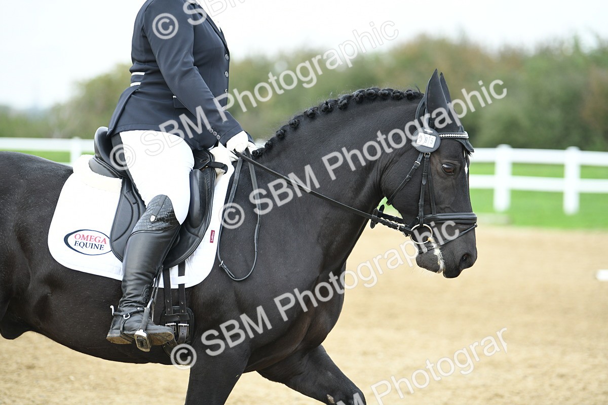 LAD_4578 - Novice Test 2