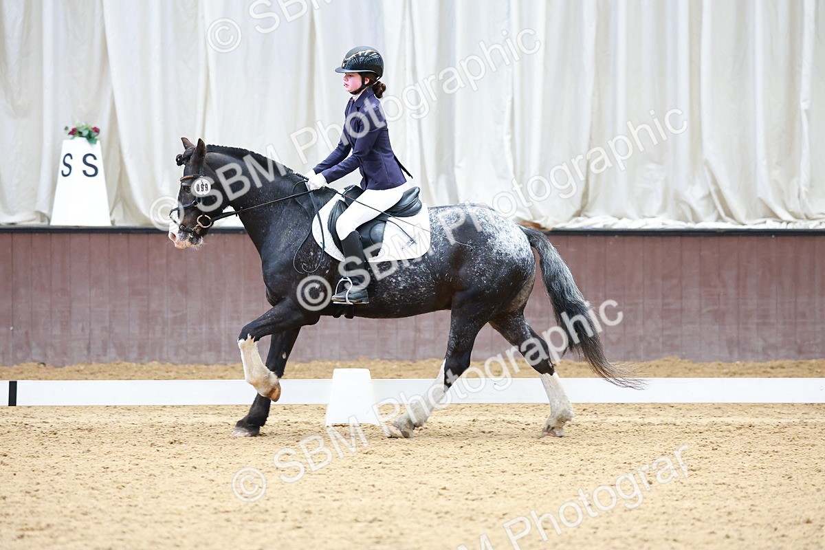 SBM_000219 - Class 3 -  CT Prelim 2/60cm