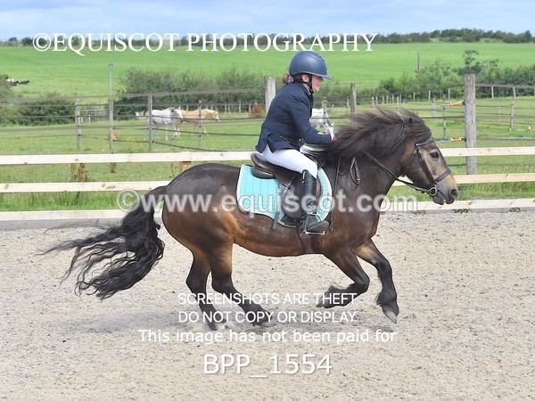 BPP_1554 - DERBY CLASS 3 - 40CM