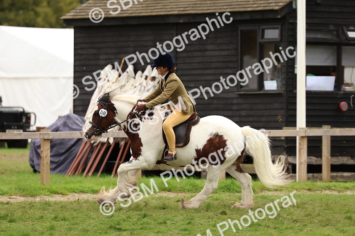 SBM_64598 - S58 - Coloured Pony Ridden