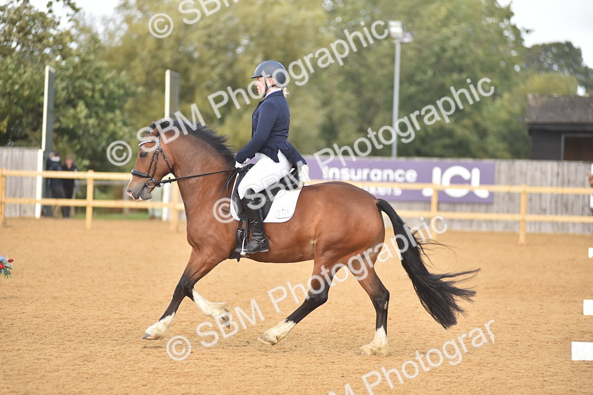 SBM_10072 - D15 - Small Tour Championship Novice 1