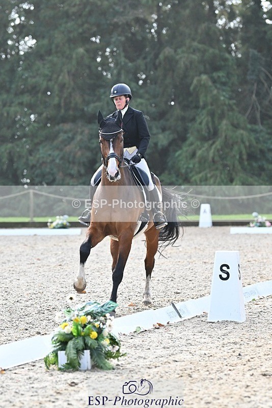 231019-110613-02044 - 105-BRIGHT.KNIGHT.III-Janet.Clarke-DR