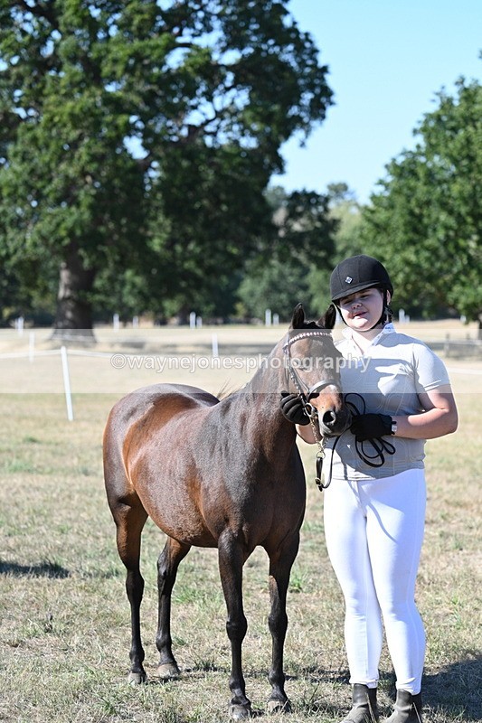 WJ7_2142 - Class 44 Child's Best Friend