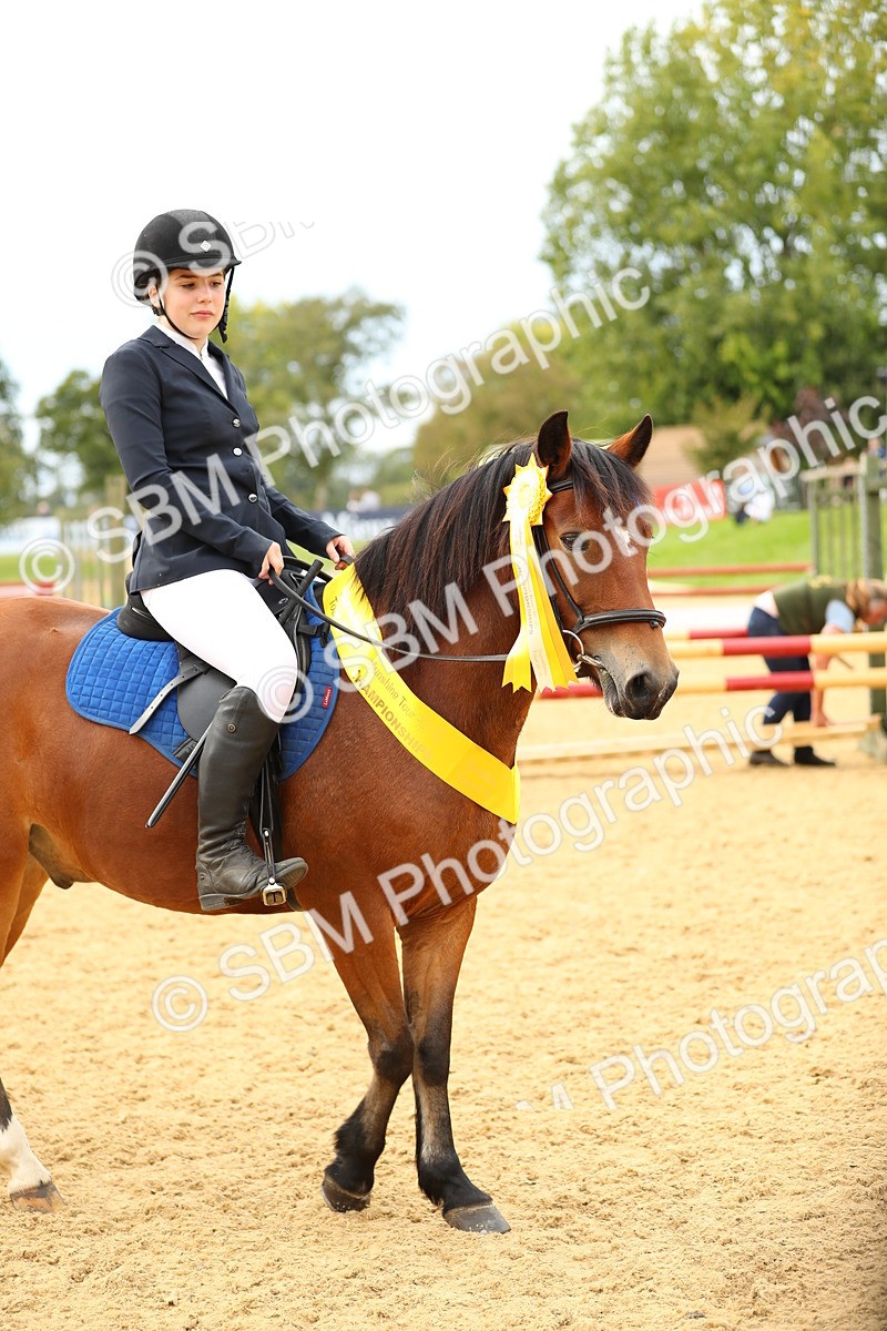 SBM_71293 - J18 - Junior Pony 85cm Championship