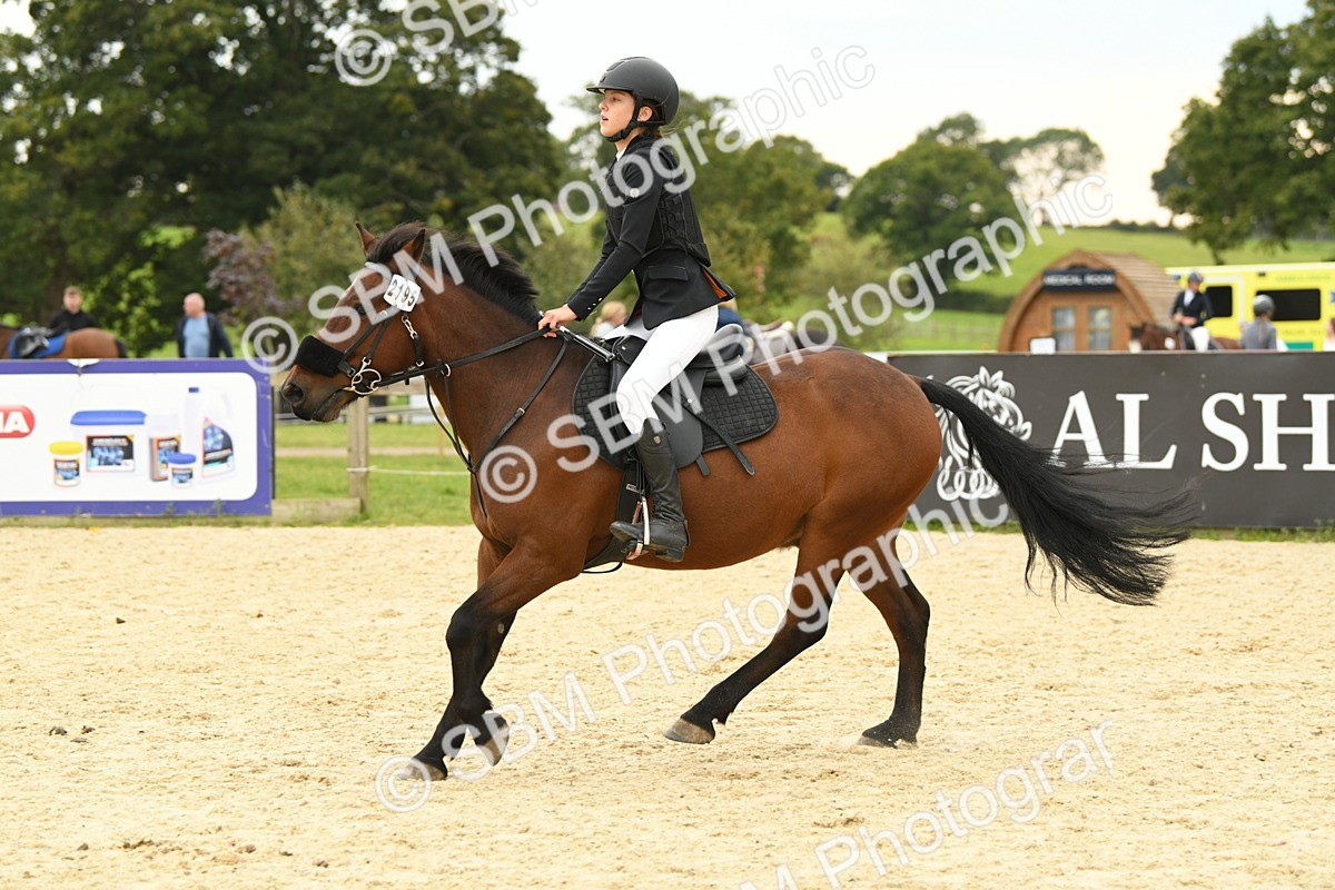 SBM_73086 - J16 - Junior Pony 75cm Championship