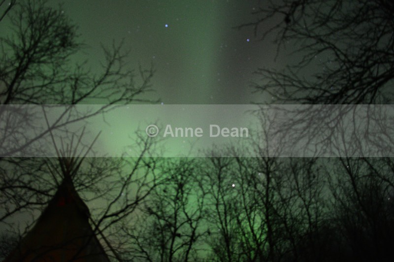 Laavu with Aurora - Abisko, North Sweden