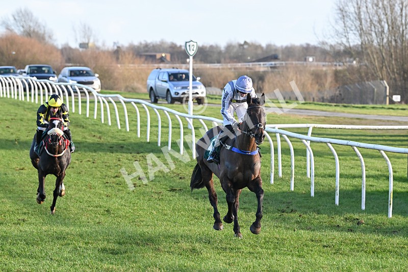 250225-Race 4-Master Breffni-8177 - Race 4