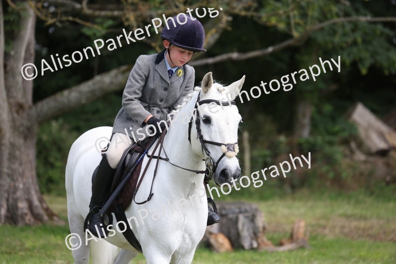 20260614-0568 - Class 20 - Beginners Working Hunter Pony