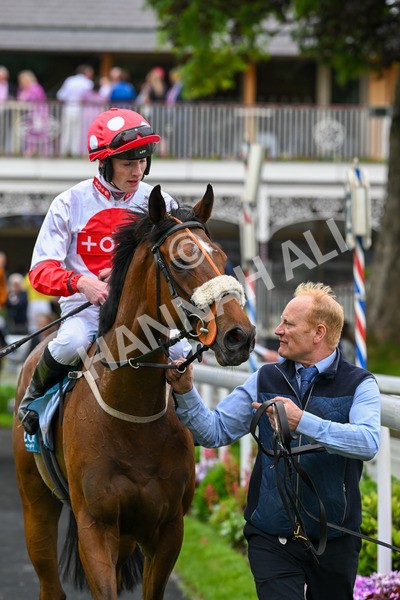 250524-Race 7-Feel The Need-4447 - Race 7 5.05pm Alf Duffield Memorial Handicap