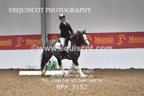 BPP_3152 - INTRO TEST 3