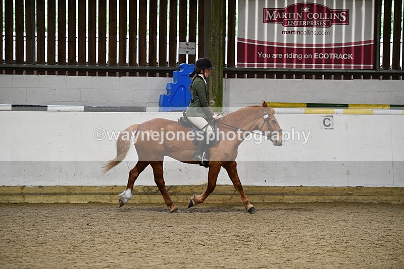 WJ5_8507 - Class 14 Novice Ridden/Rider