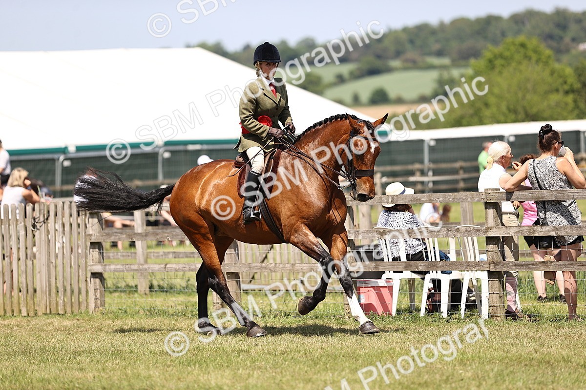 SBM_16231 - Class 79-80 - LIHS BSHA Rising Star Ridden Hunter