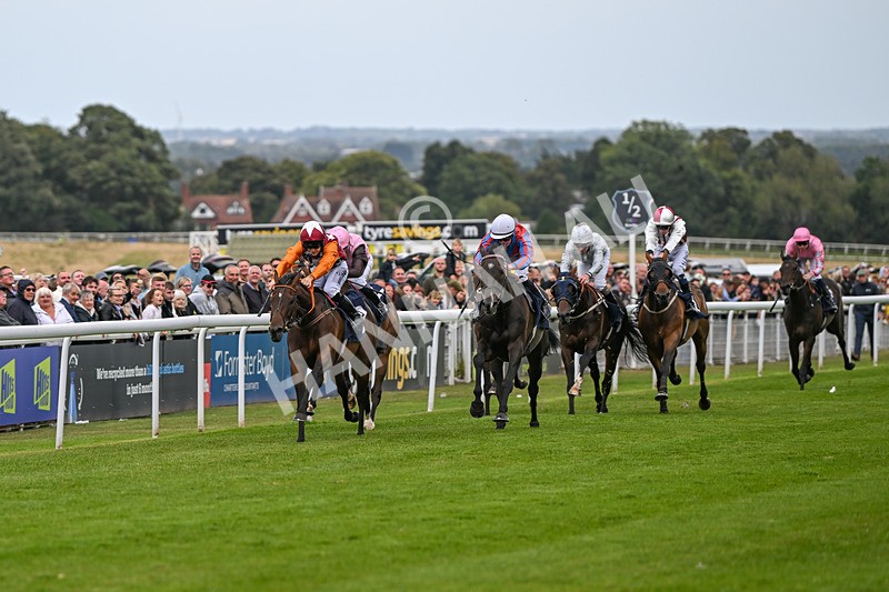 250824-Race 5-Lincoln Rockstar-3641 - Race 5